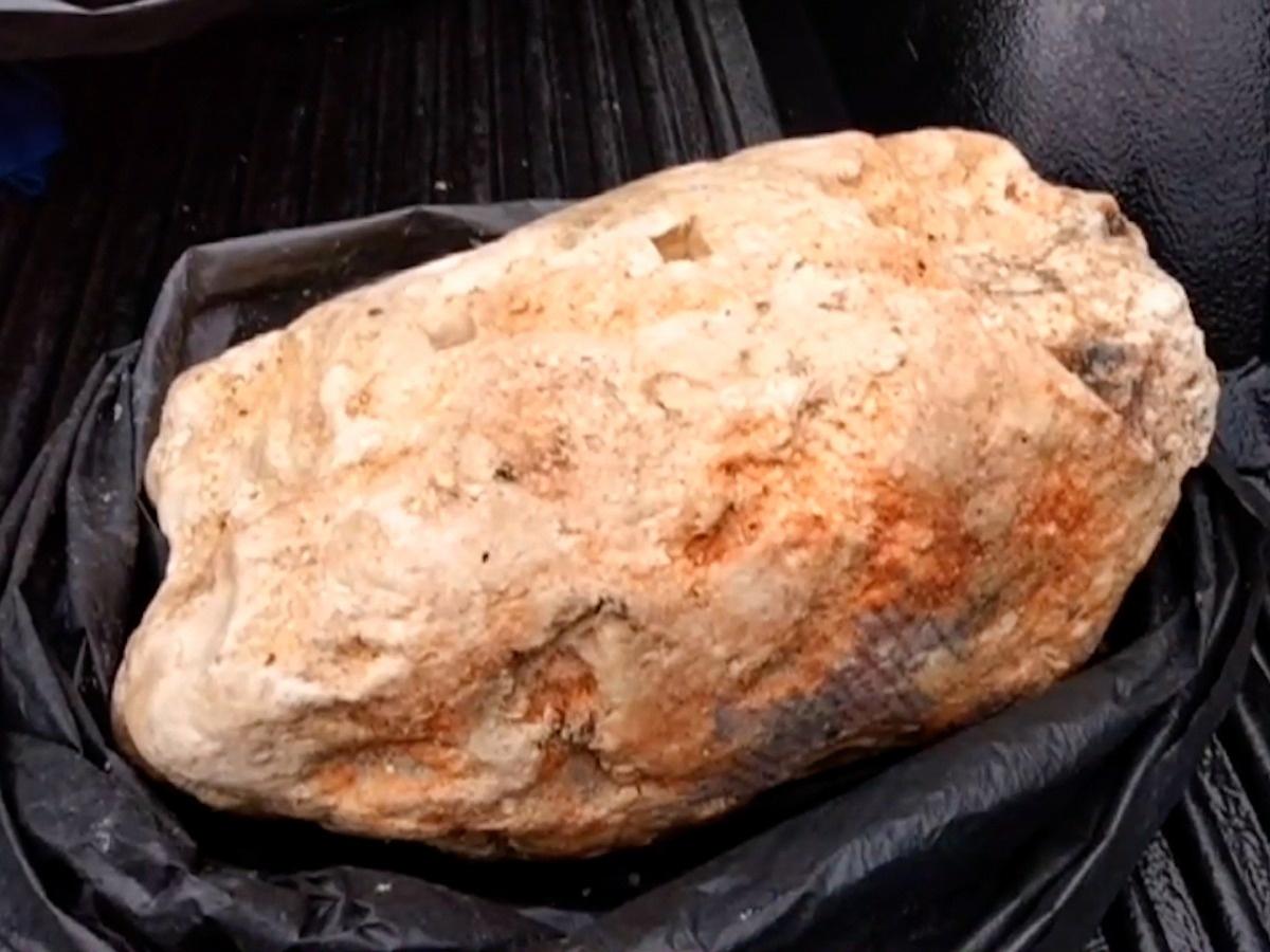whale vomit 